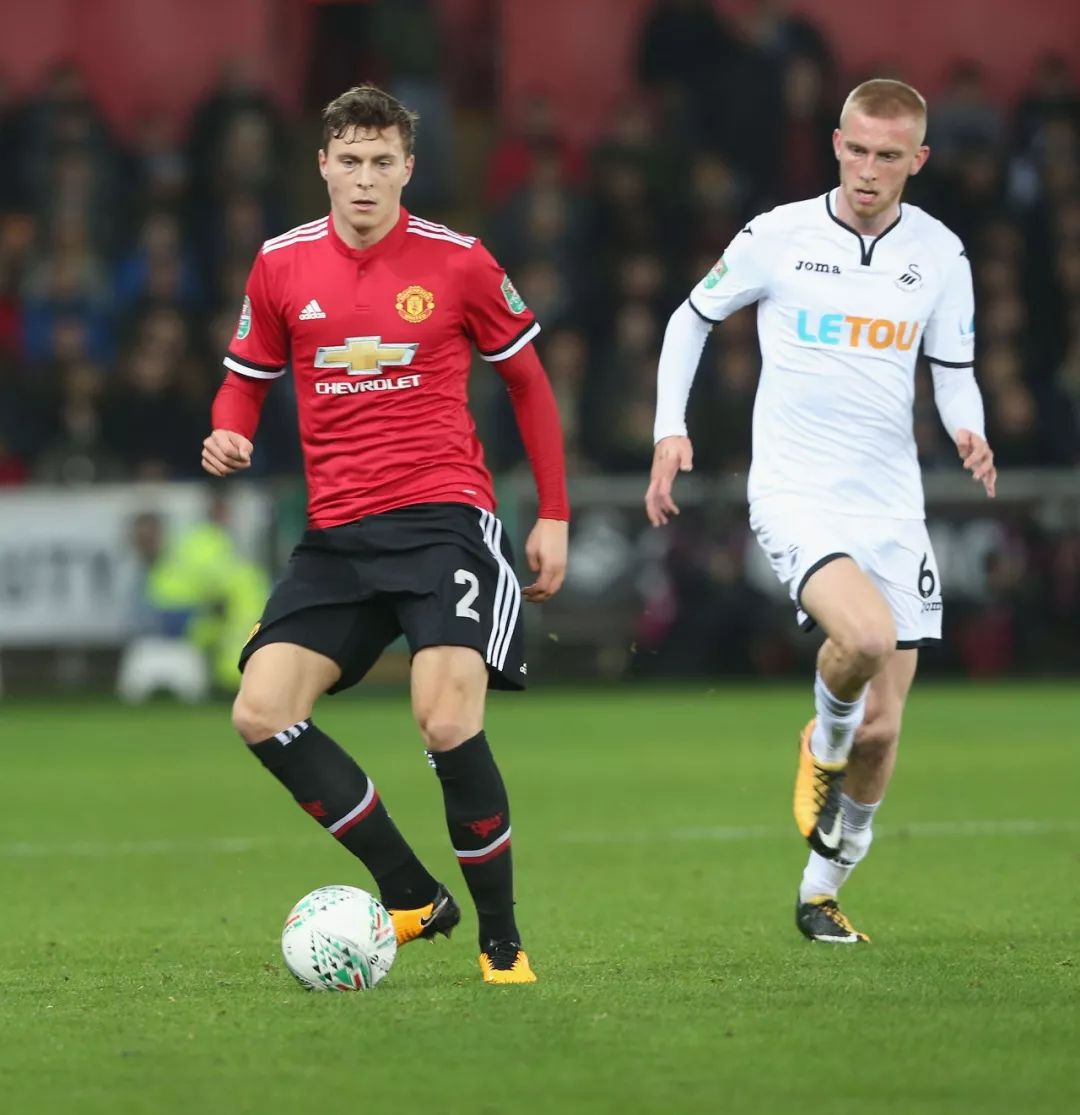 米的椰子树 米的椰子树